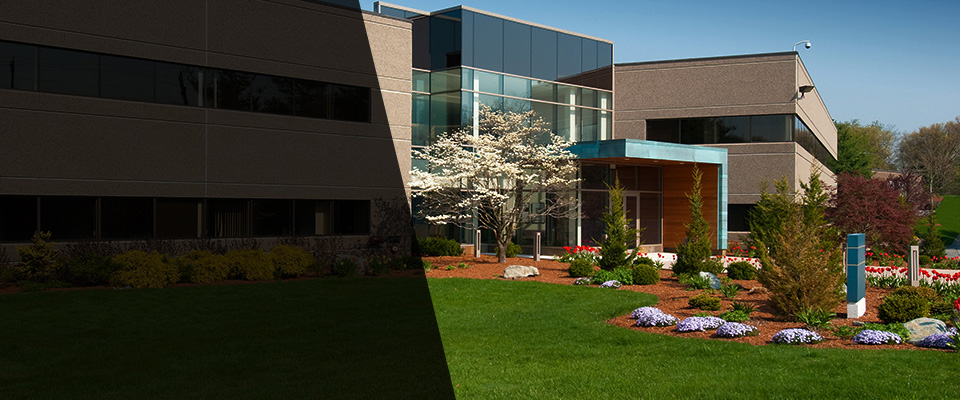 Bella Vista Landscapers