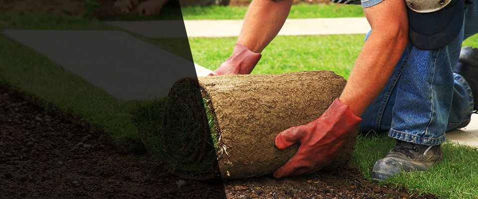 Bella Vista Landscapers